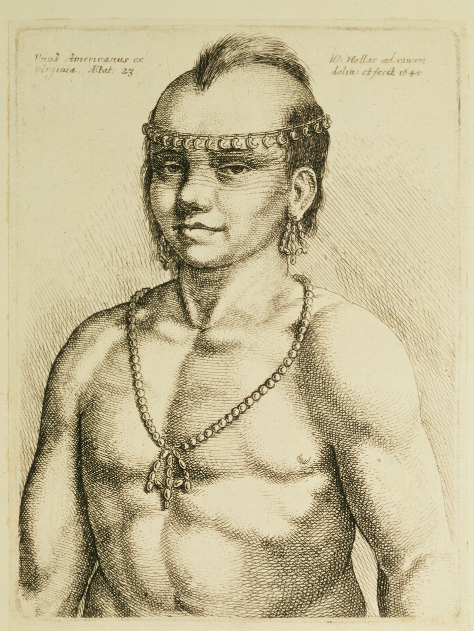 Virginian Indian from 