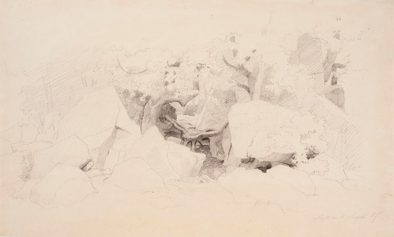 Boulders in the Forest by Werner Holmberg