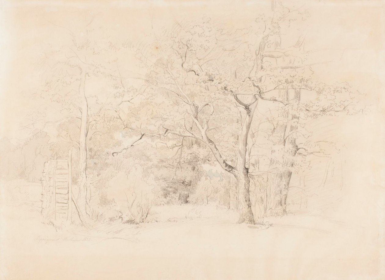 Landscape, Grove by Werner Holmberg