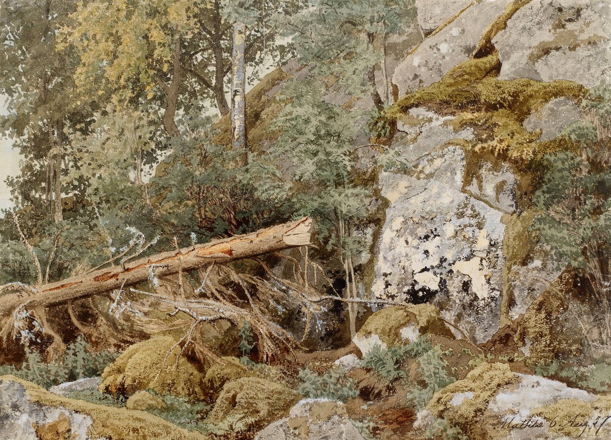 Mossy Rock in the Forest by Werner Holmberg