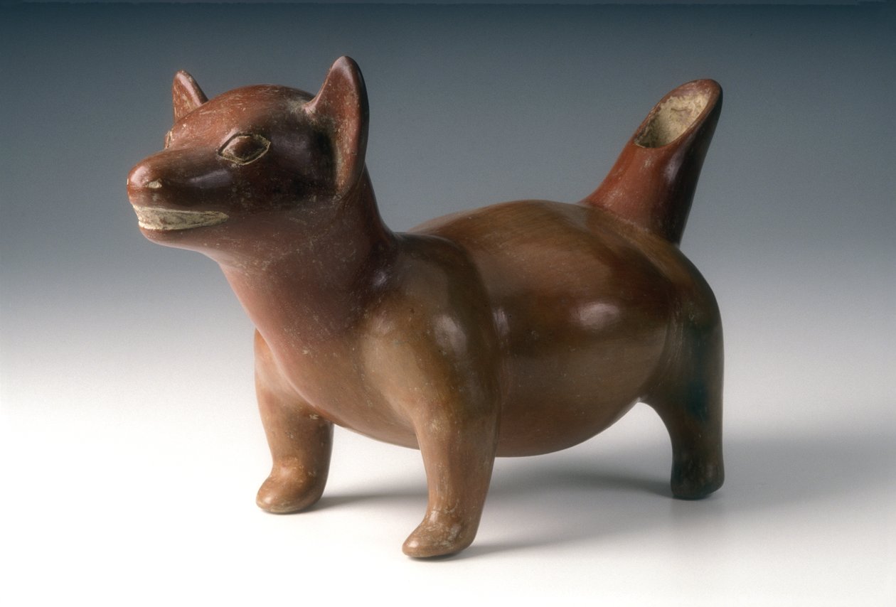 Dog Effigy Vessel by West Mexican