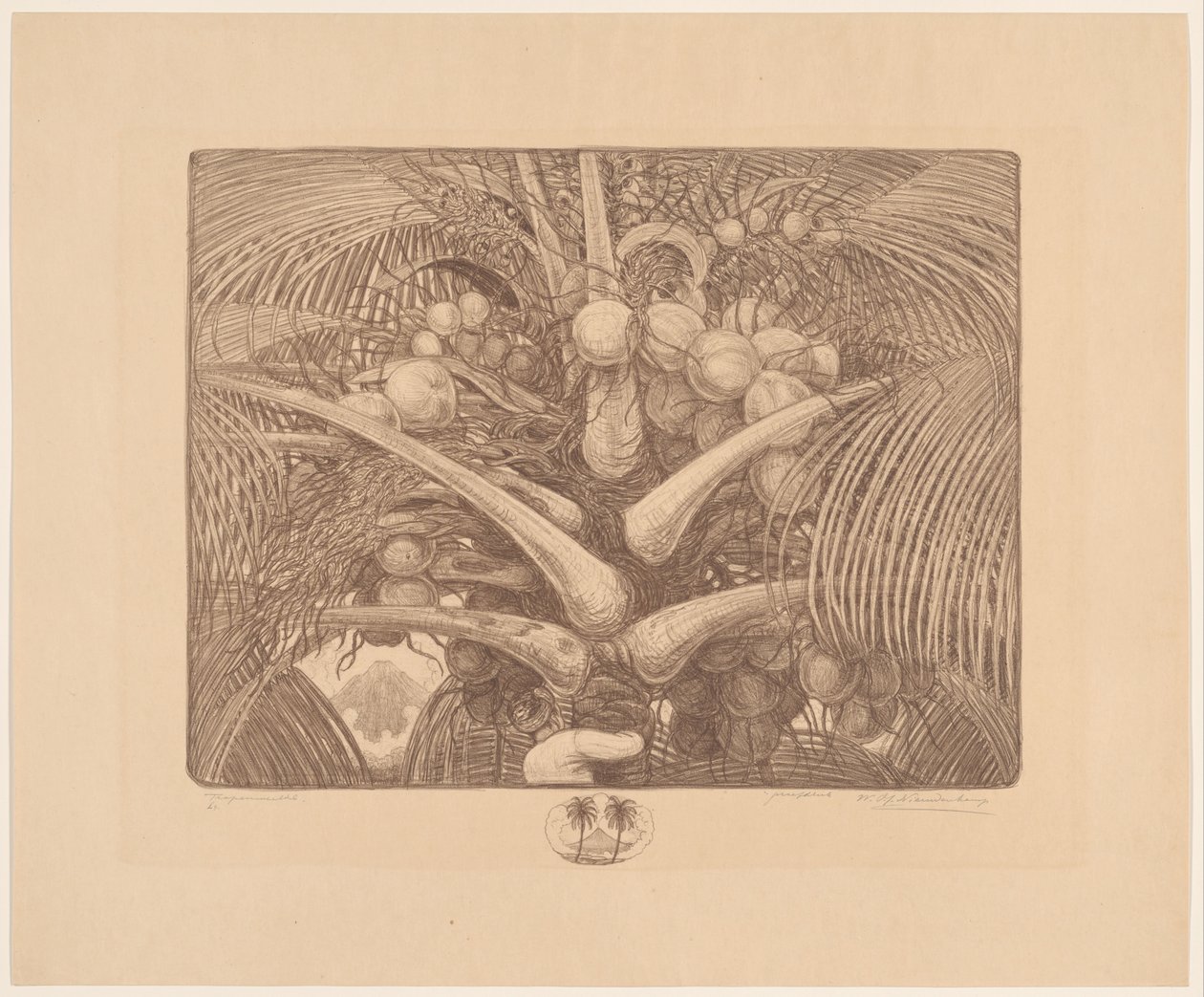 Top of a Coconut Palm by Wijnand Otto Jan Nieuwenkamp (signed by artist)