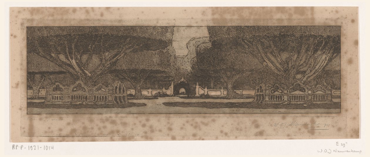 Banyan Trees in the Garden of the Sultan