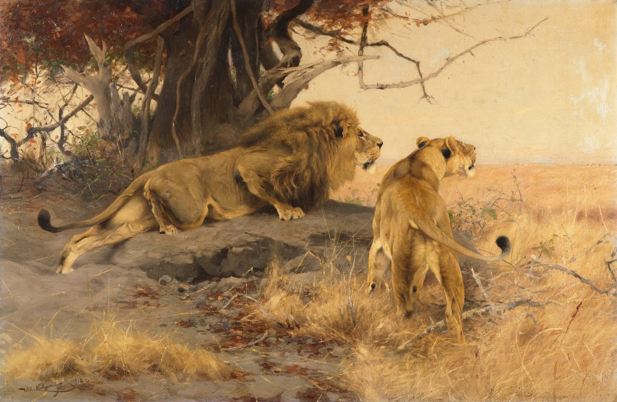 A Lion and a Lioness in the Savannah by Wilhelm Kuhnert