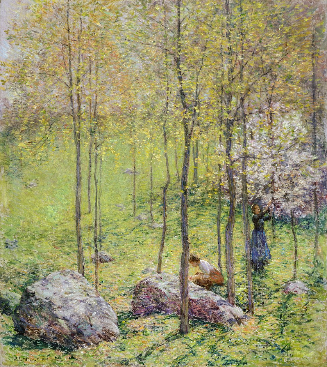 Dogwood Blossoms, 1906 by Willard Leroy Metcalf