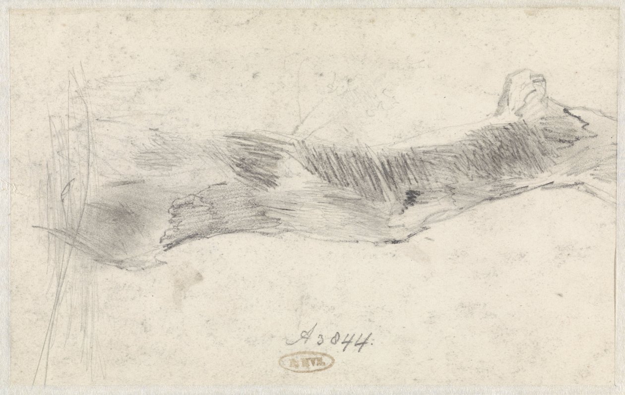 Study of a Tree by Willem Anthonie van Deventer