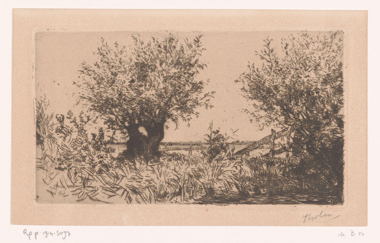 Landscape with Meadow, Pollard Willows, and Fence by Willem Bastiaan Tholen (signed by artist)