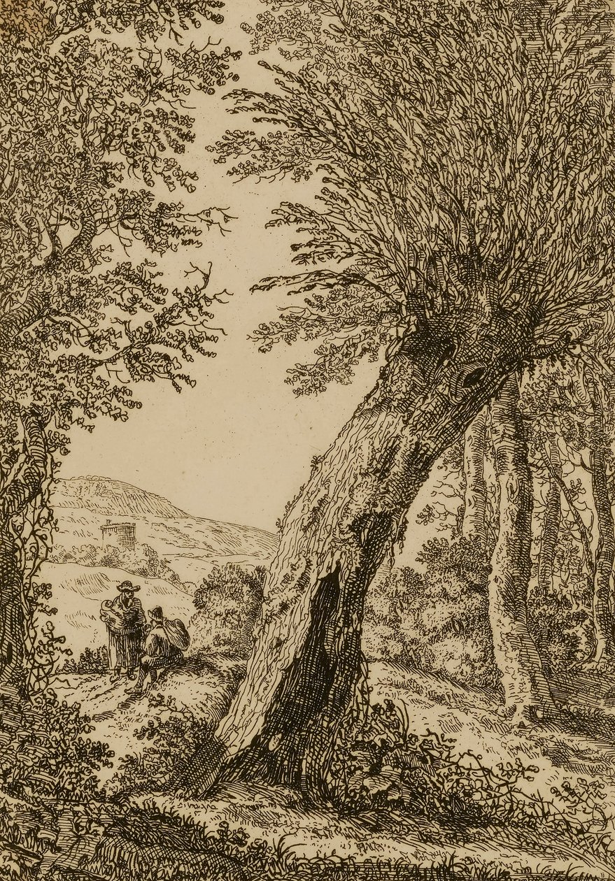 Landscape with Willow by Willem Bemmel