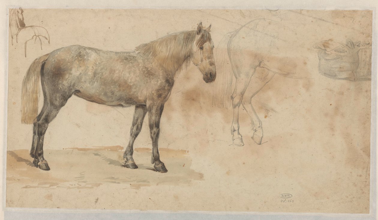 Studies of a Horse by Willem Carel Nakken