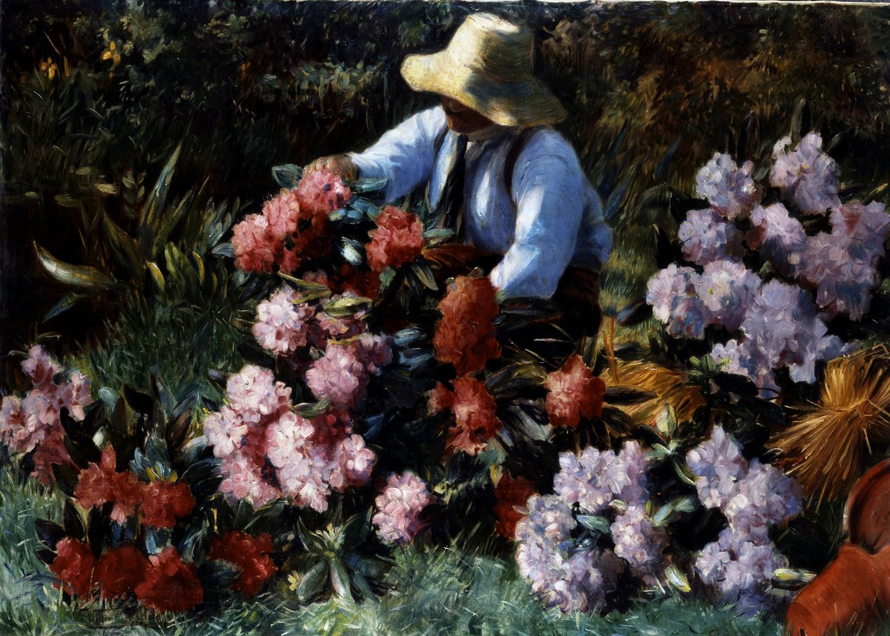 Rhododendrons by Willem Roelofs