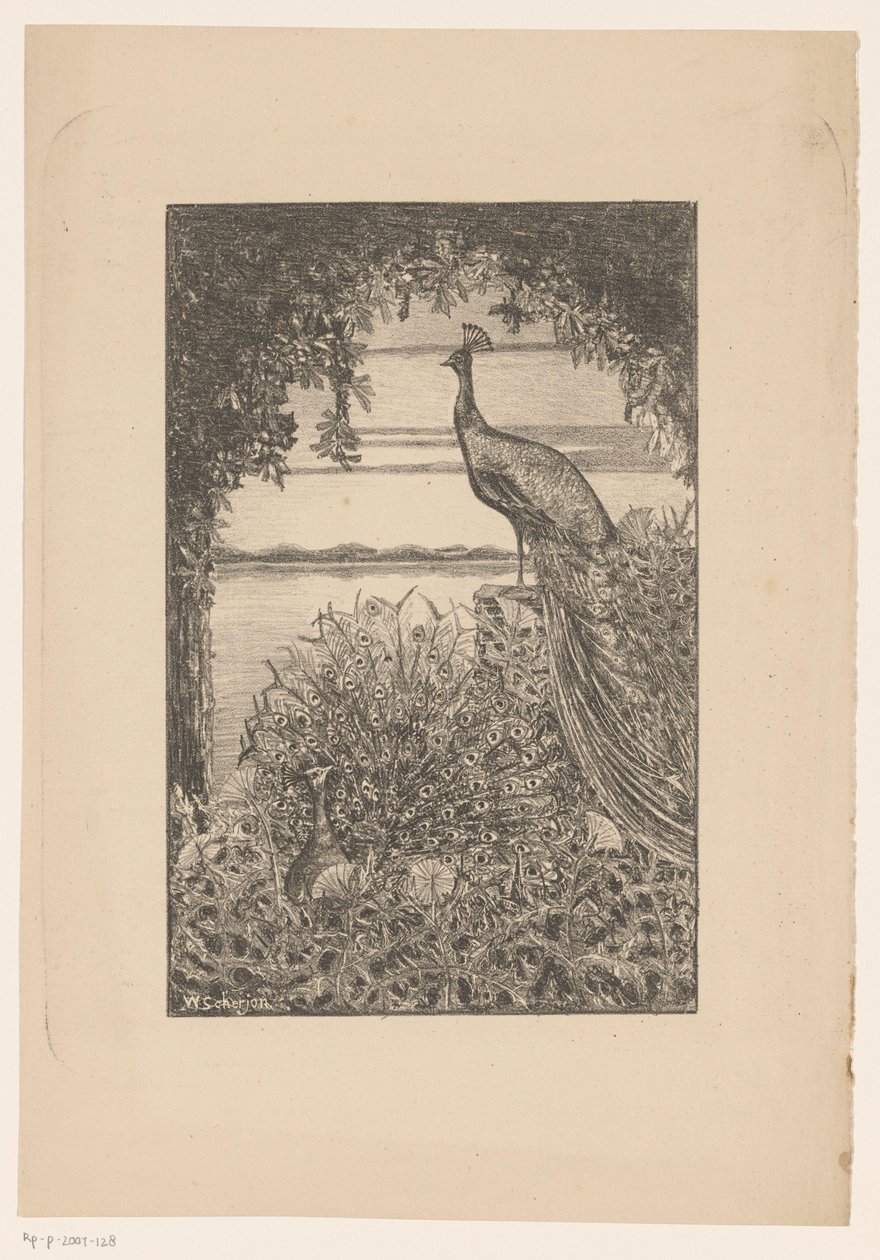 Sitting and Standing Peacock in Nature by Willem Scherjon