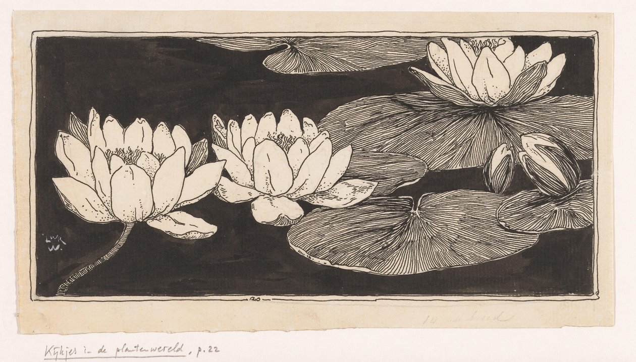 Water Lilies by Ludwig Willem Reymert Wenckebach