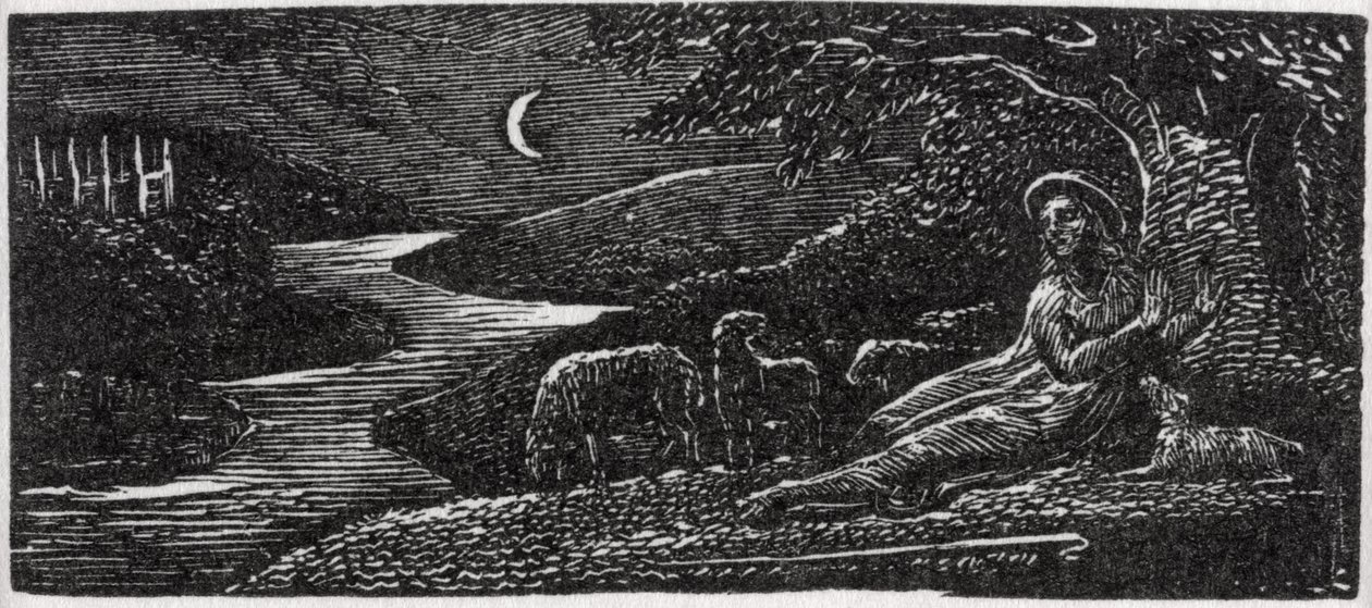 Colinet Resting at Cambridge by Night, illustration from Dr. Thornton