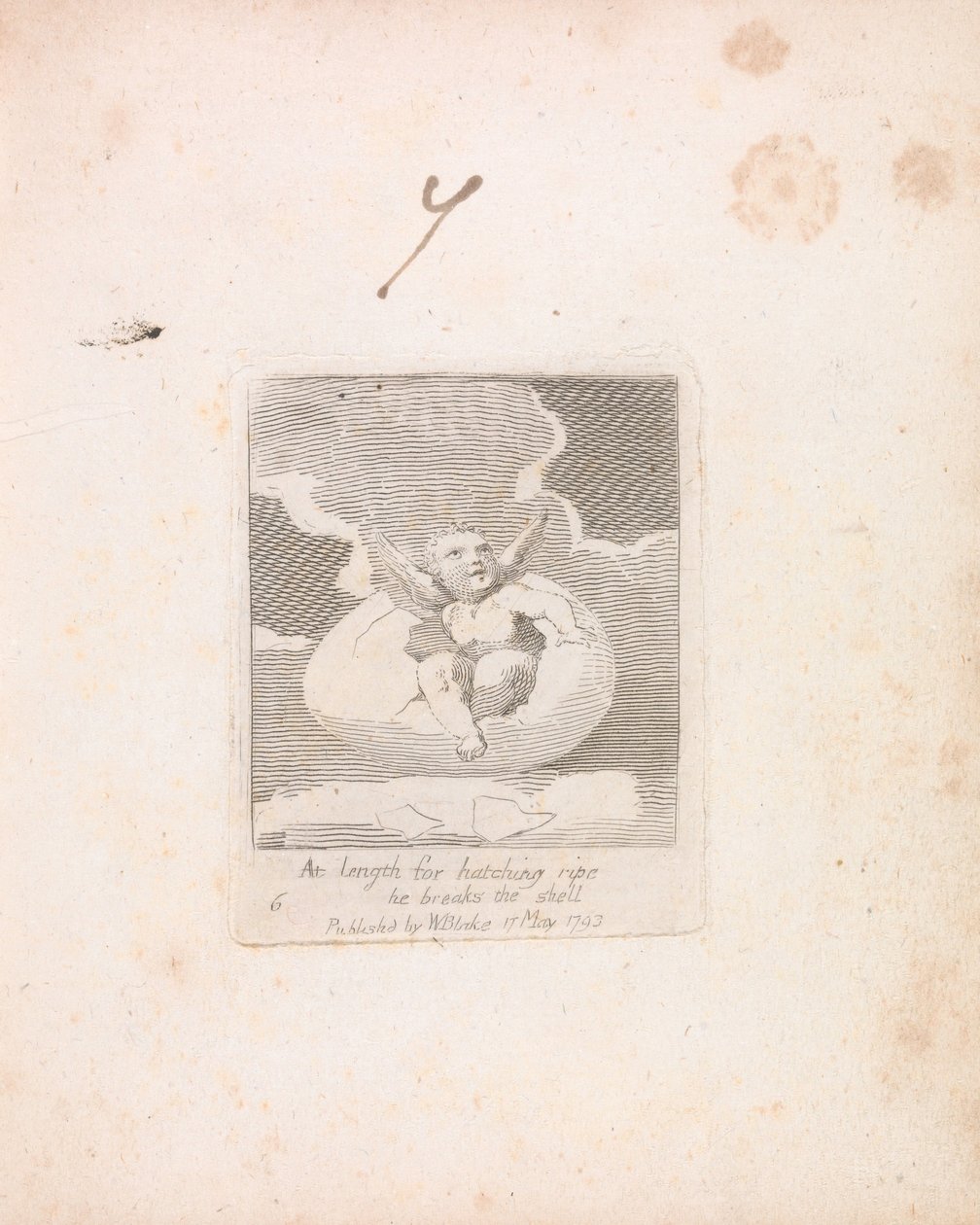 For Children. The Gates of Paradise, Plate 8, At length for hatching ripe he breaks the shell by William Blake