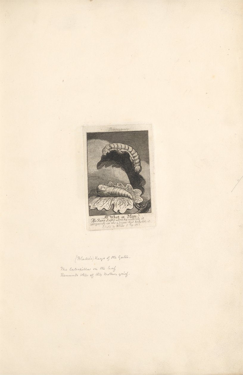 For the Sexes. The Gates of Paradise, Plate 2, Frontispiece, What is Man! by William Blake