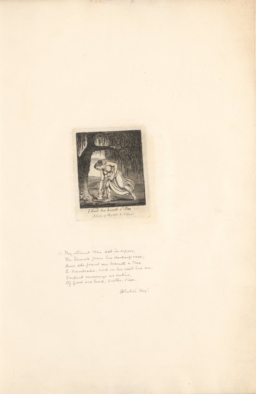 For the Sexes. The Gates of Paradise, Plate 3, I found him beneath a Tree by William Blake