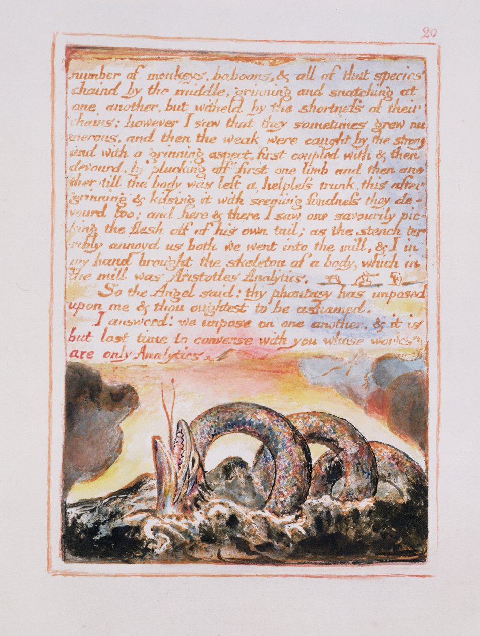Number of monkeys, baboons.., illustration and text from The Marriage of Heaven and Hell by William Blake