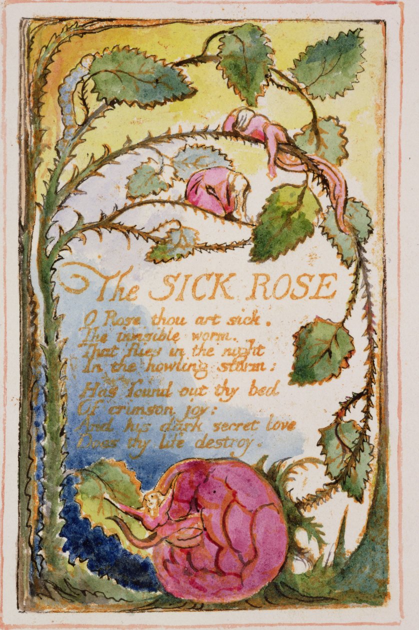 The Sick Rose: plate 39 from Songs of Innocence and of Experience (copy AA) by William Blake