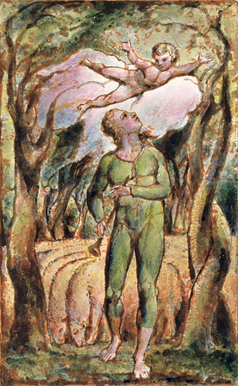 Frontispiece: plate 2 from 