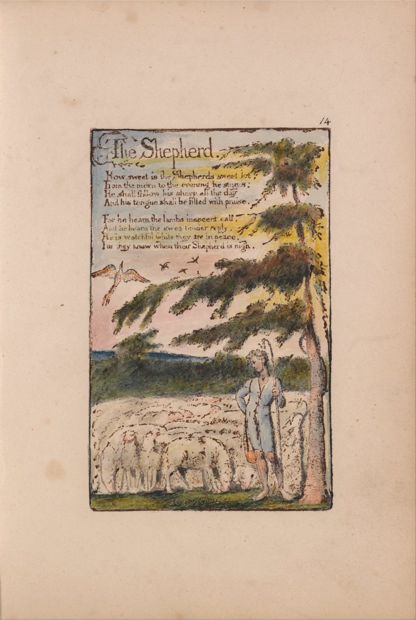 Songs of Innocence and of Experience by William Blake
