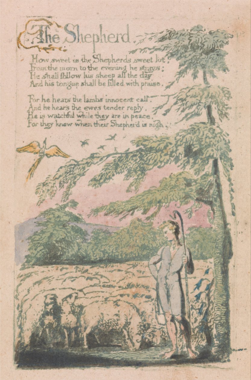 Songs of Innocence and of Experience, Plate 4, The Shepherd (Bentley 5) by William Blake