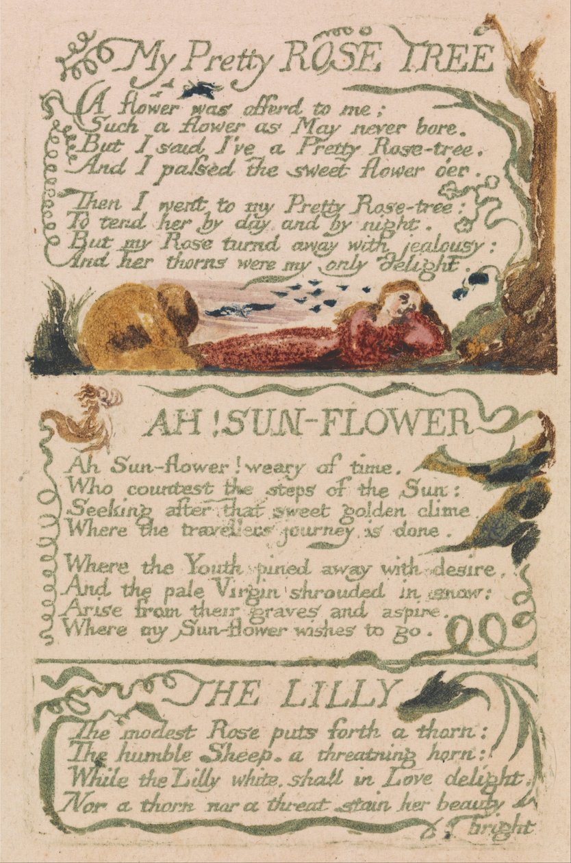 Songs of Innocence and of Experience, Plate 47, My Pretty Rose Tree (Bentley 43) by William Blake