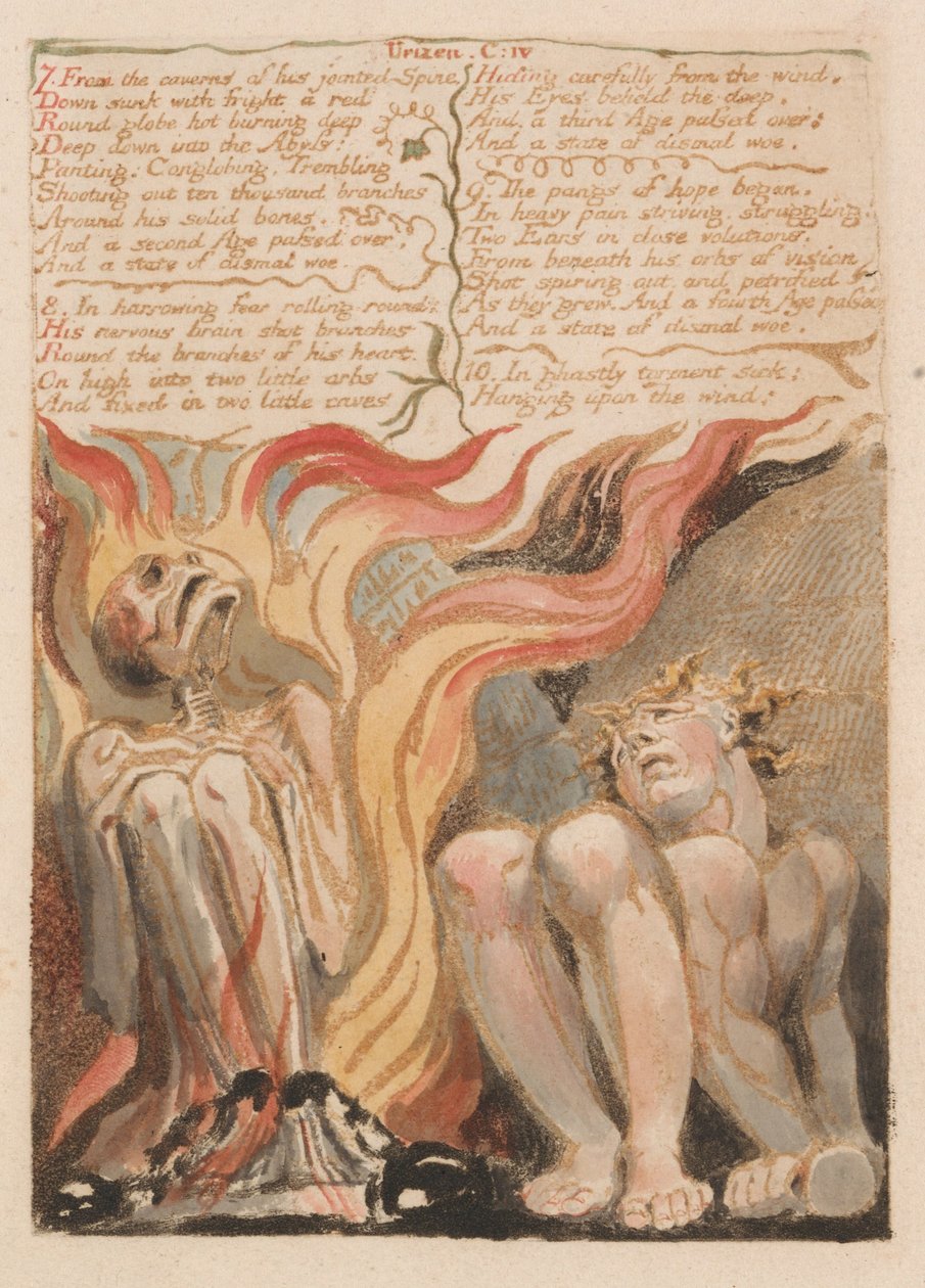 The First Book of Urizen, Plate 14, 7. From the Caverns of His Jointed Spine.... (Bentley 11) by William Blake