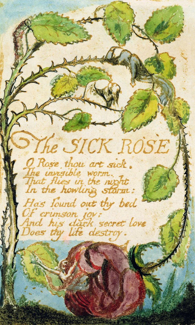 The Sick Rose, from Songs of Innocence by William Blake