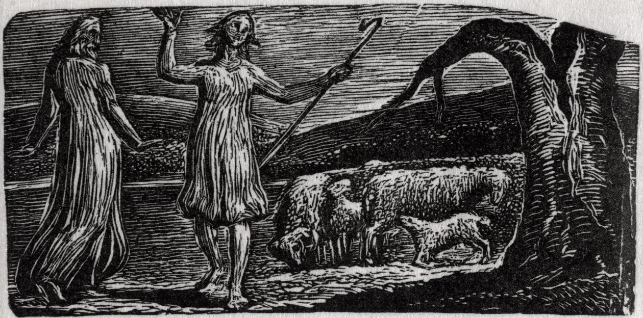 Thenot, with Colinet waving his arms in sorrow, illustration from Dr. Thornton