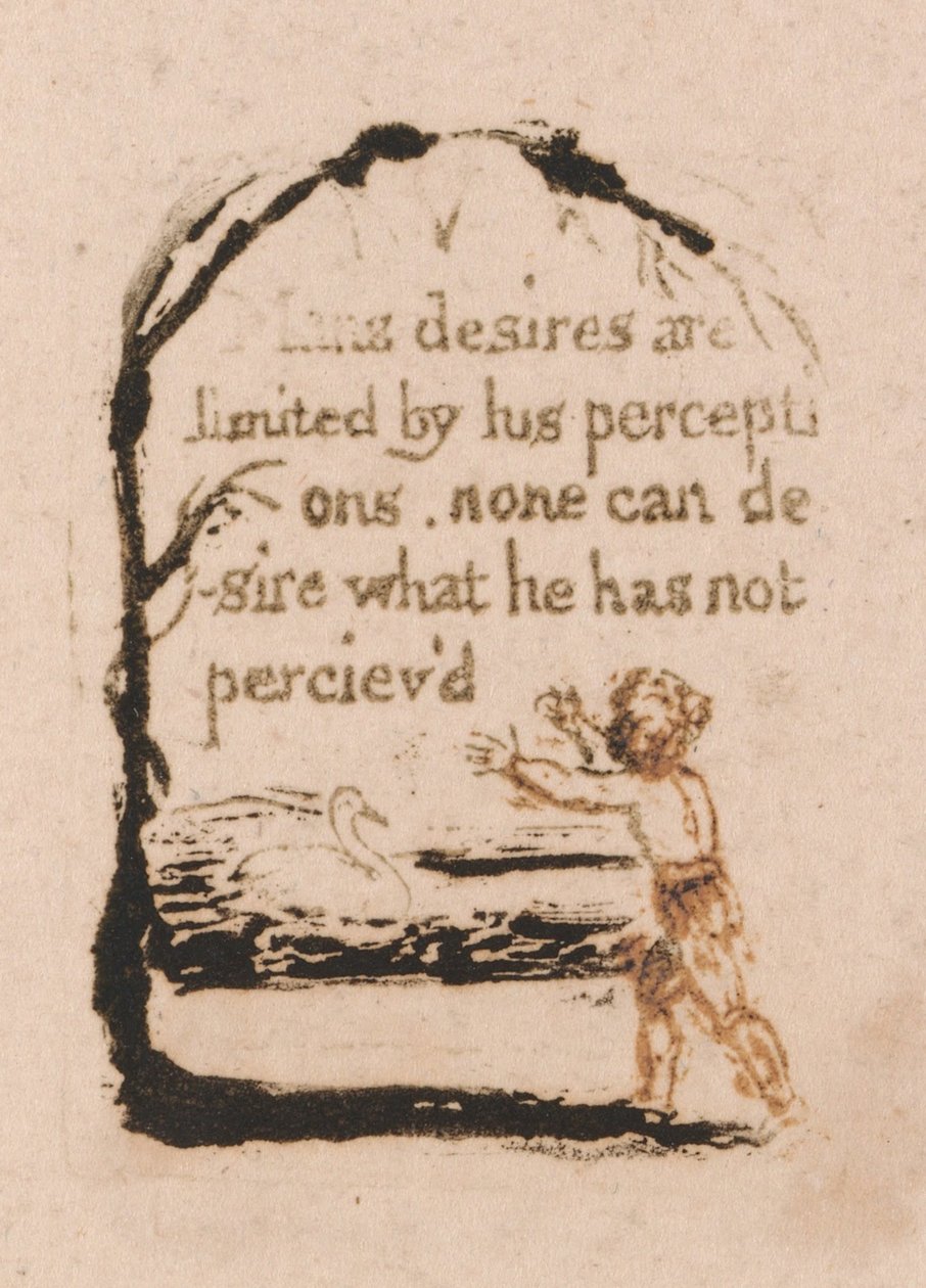 There Is No Natural Religion, Plate 7 by William Blake