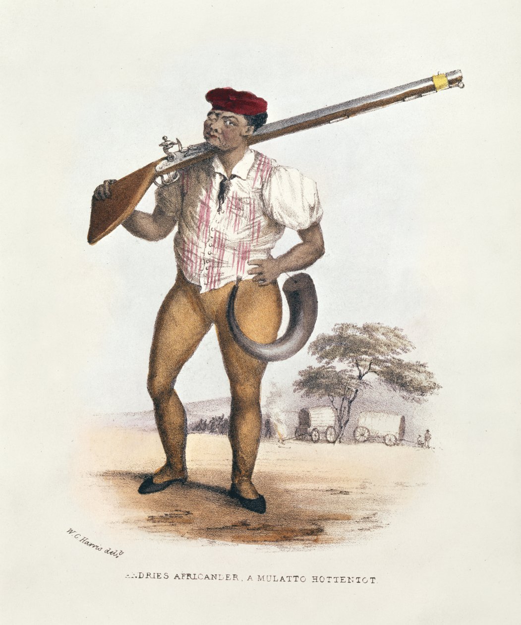 Andries Africander, a Mulatto Hottentot, illustration from Wild Sports of South Africa, by W.C. Harris, 1841  by William Cornwallis Harris