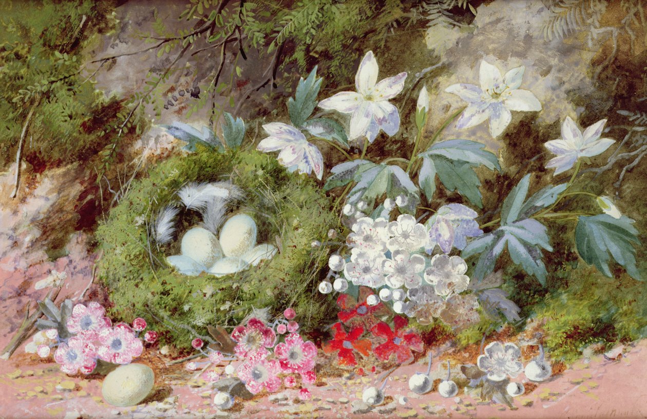 Still Life with Bird