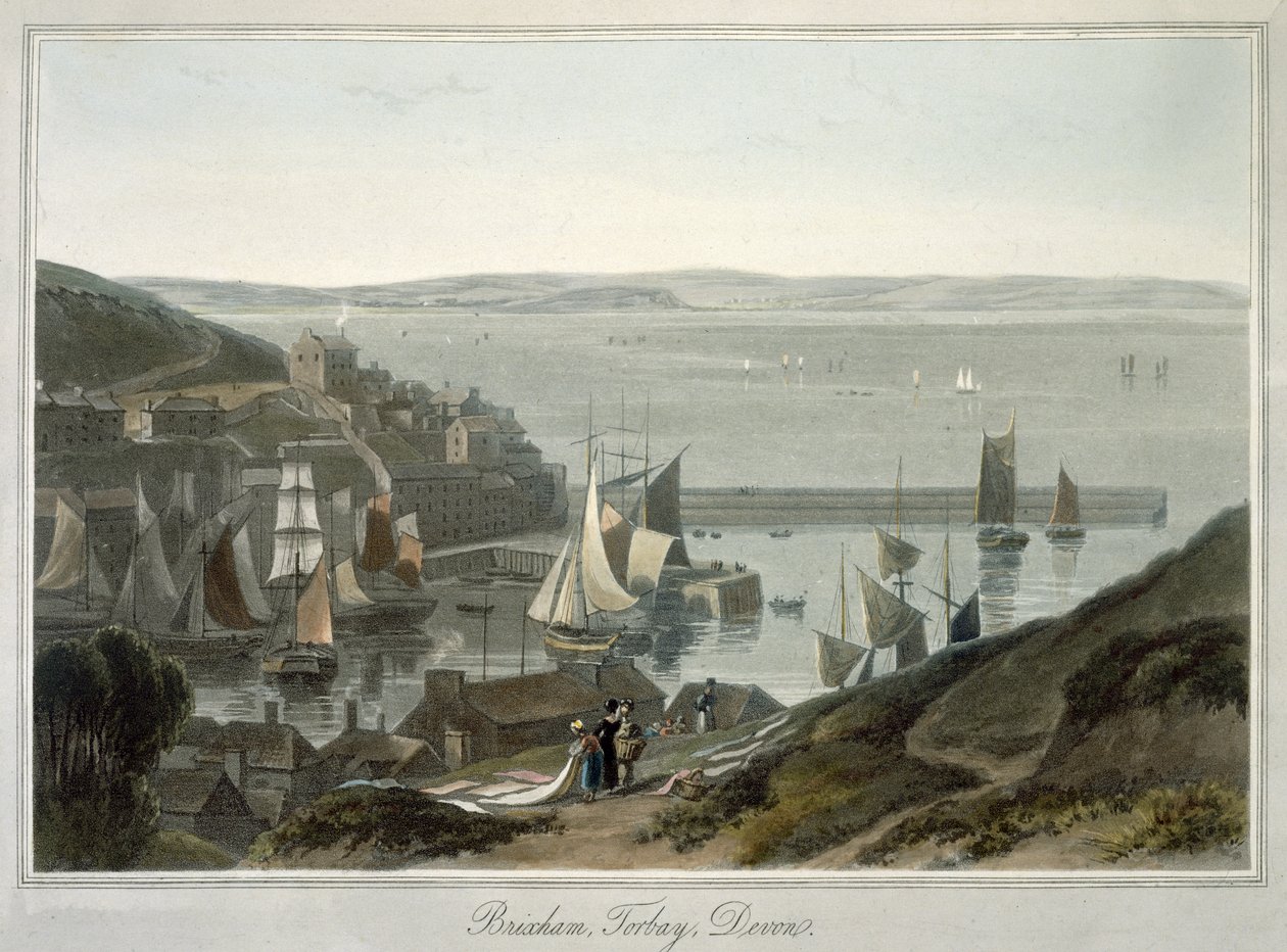 Brixham, Torbay, Devon, from Volume VIII of 