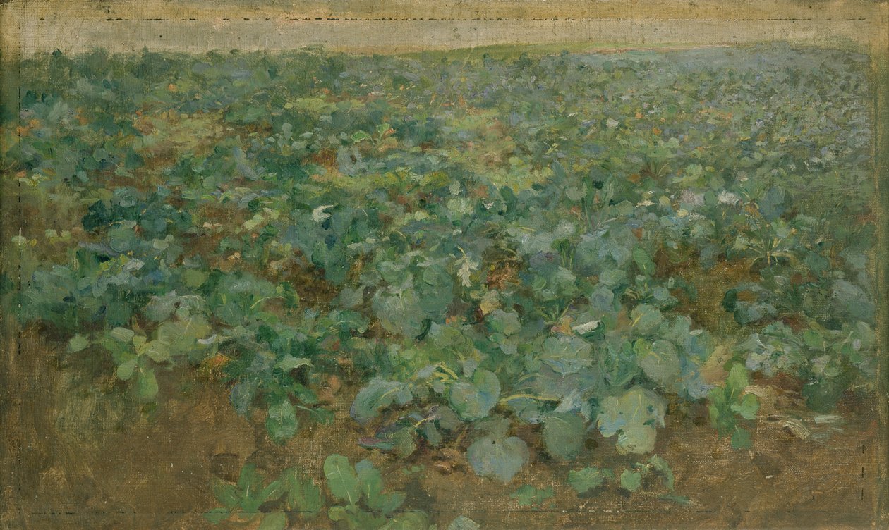 The Turnip Field by William Edward Stott
