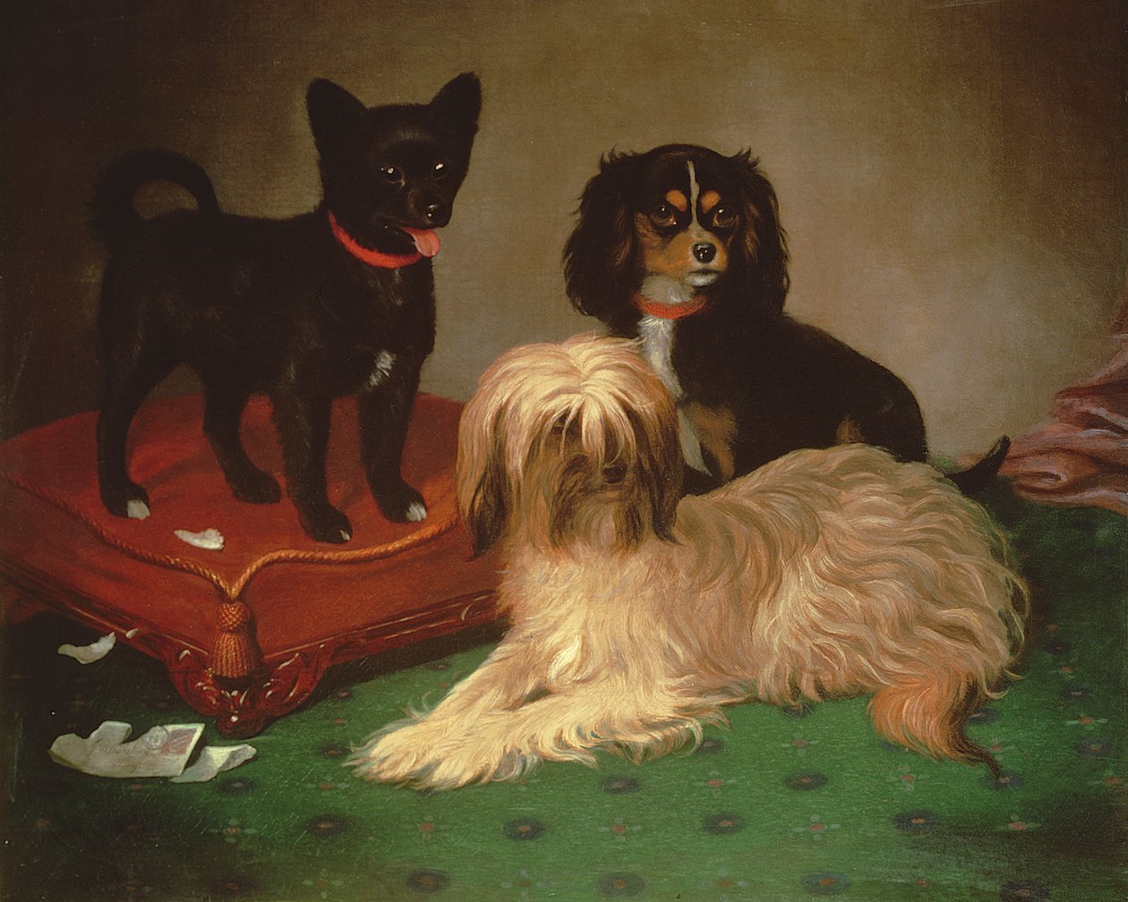 Three dogs by William Elsob Marshall