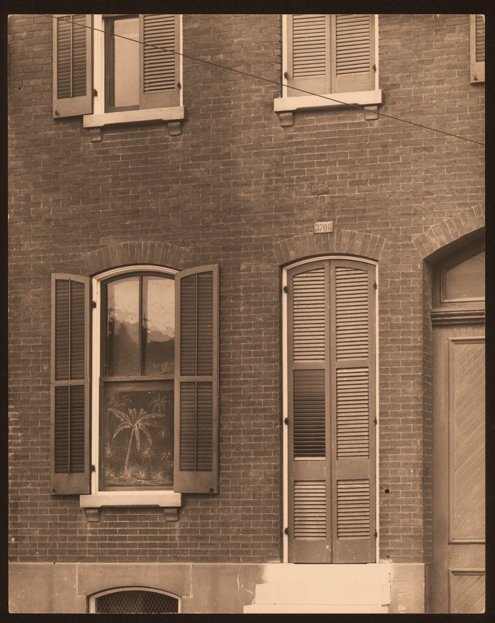 Fancy Rolle Shades by William G. Swekosky