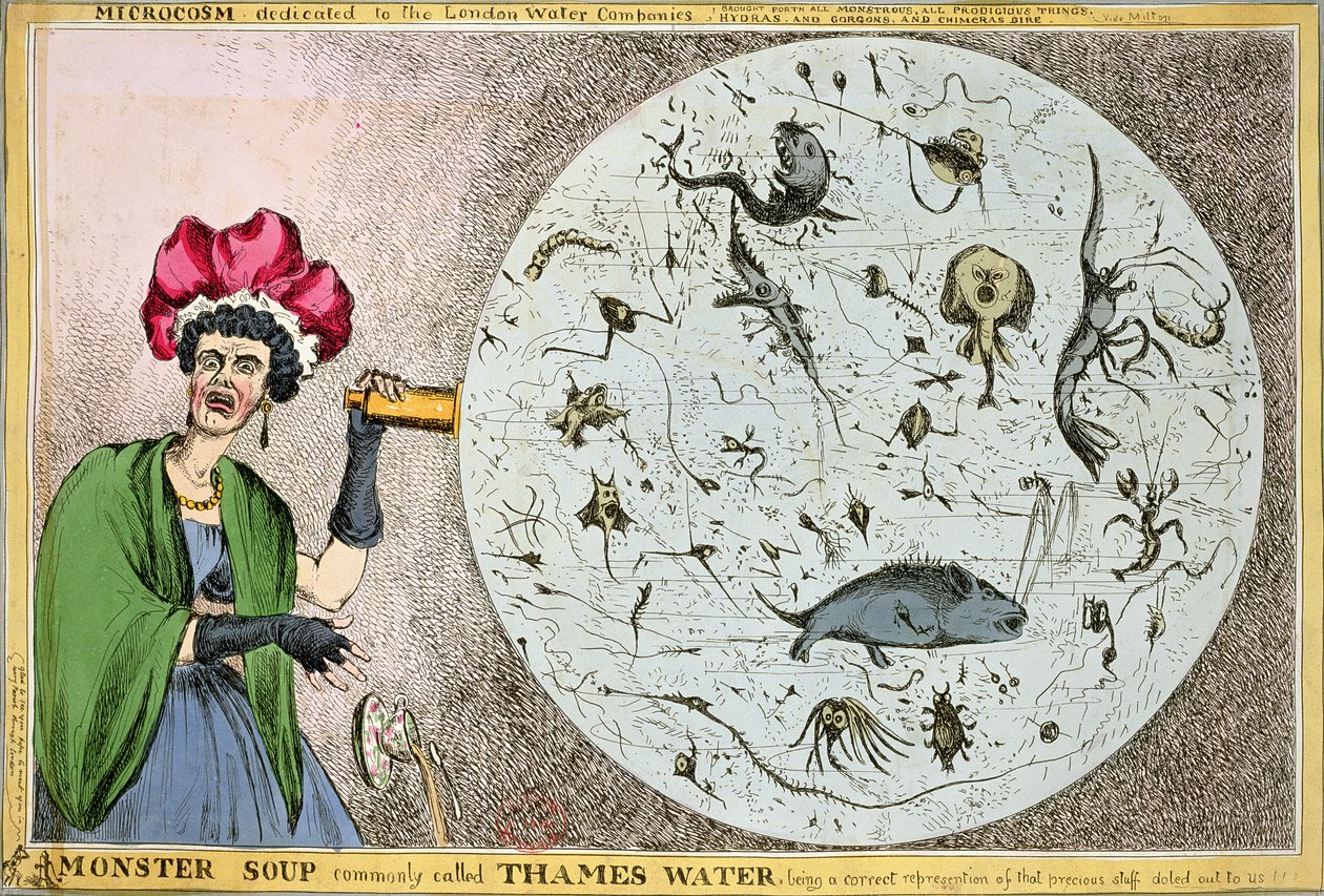 Microcosm dedicated to the London Water Companies: Monster soup commonly called Thames Water, being a correct representation of that precious stuff doled out to us!!! by William Heath