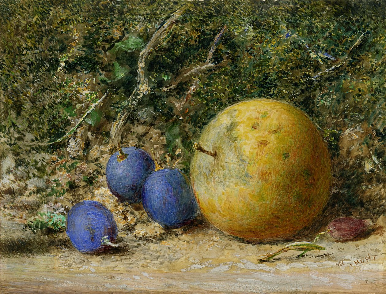 Three Grapes and an Apple by William Henry Hunt