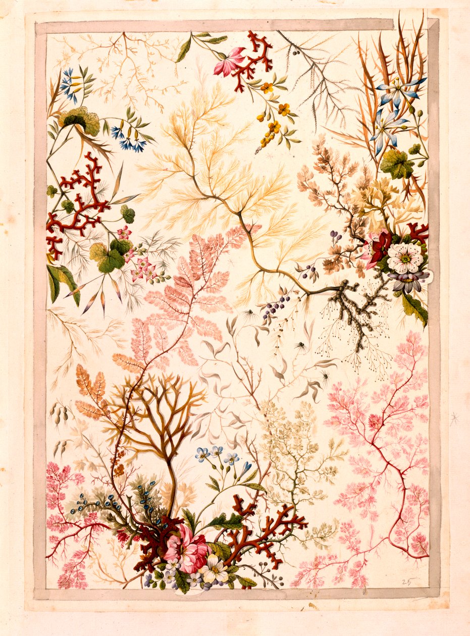 Marble end paper by William Kilburn