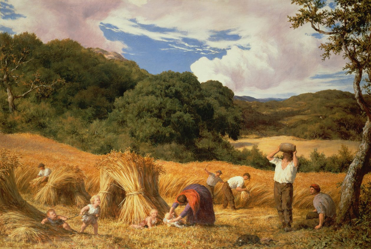 Cornfield in Surrey by William Linnell