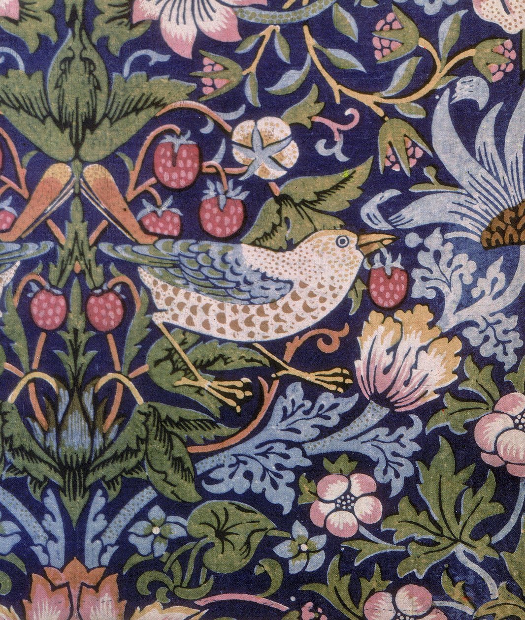 Strawberry Thief curtain, 1883 by William Morris