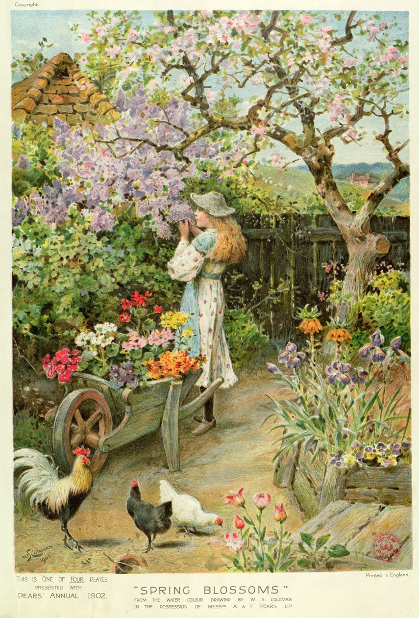 Spring Blossoms, from the Pears Annual, 1902 by William Stephen Coleman