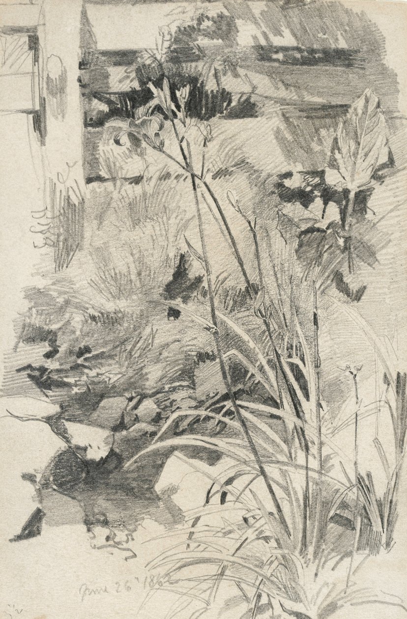 Day Lilies by a Wooden Fence by William Trost Richards