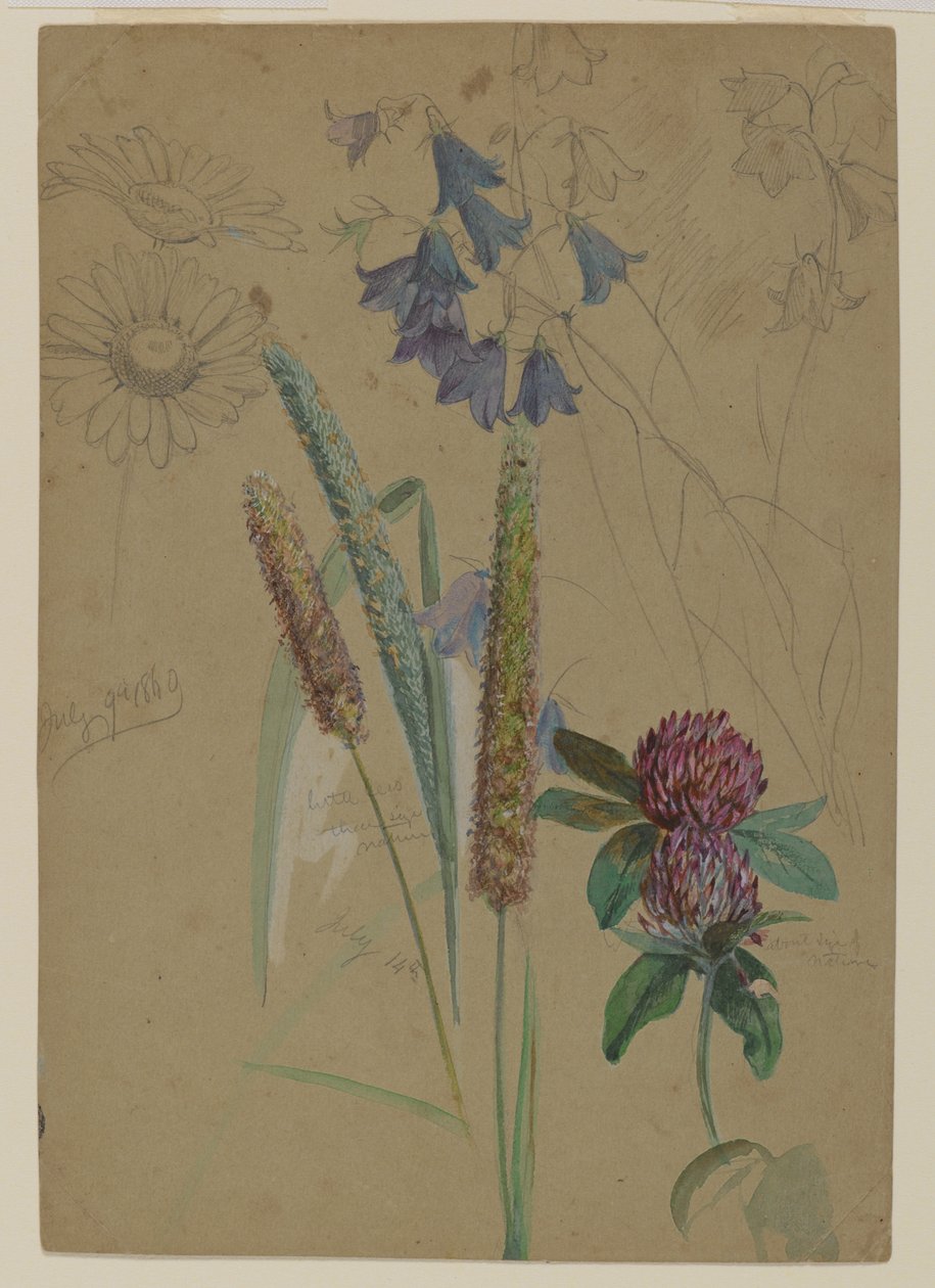 Flower study, 1860 by William Trost Richards