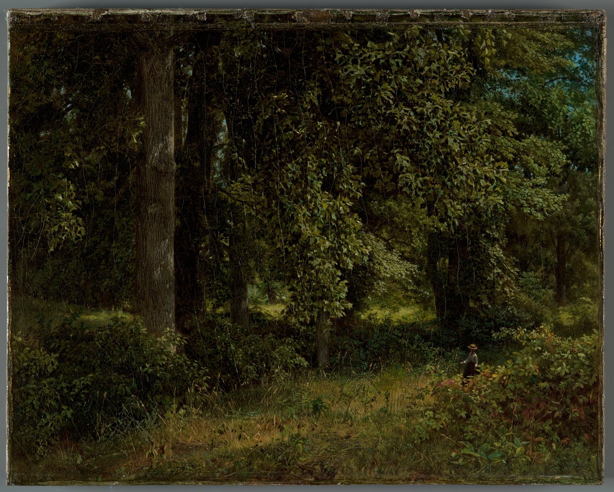 Tulip trees, 1859 by William Trost Richards