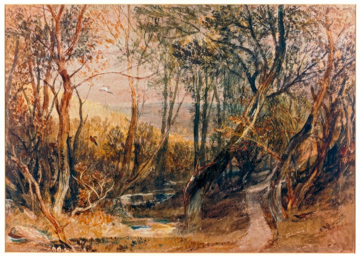 Woodland Scene by Joseph Mallord William Turner