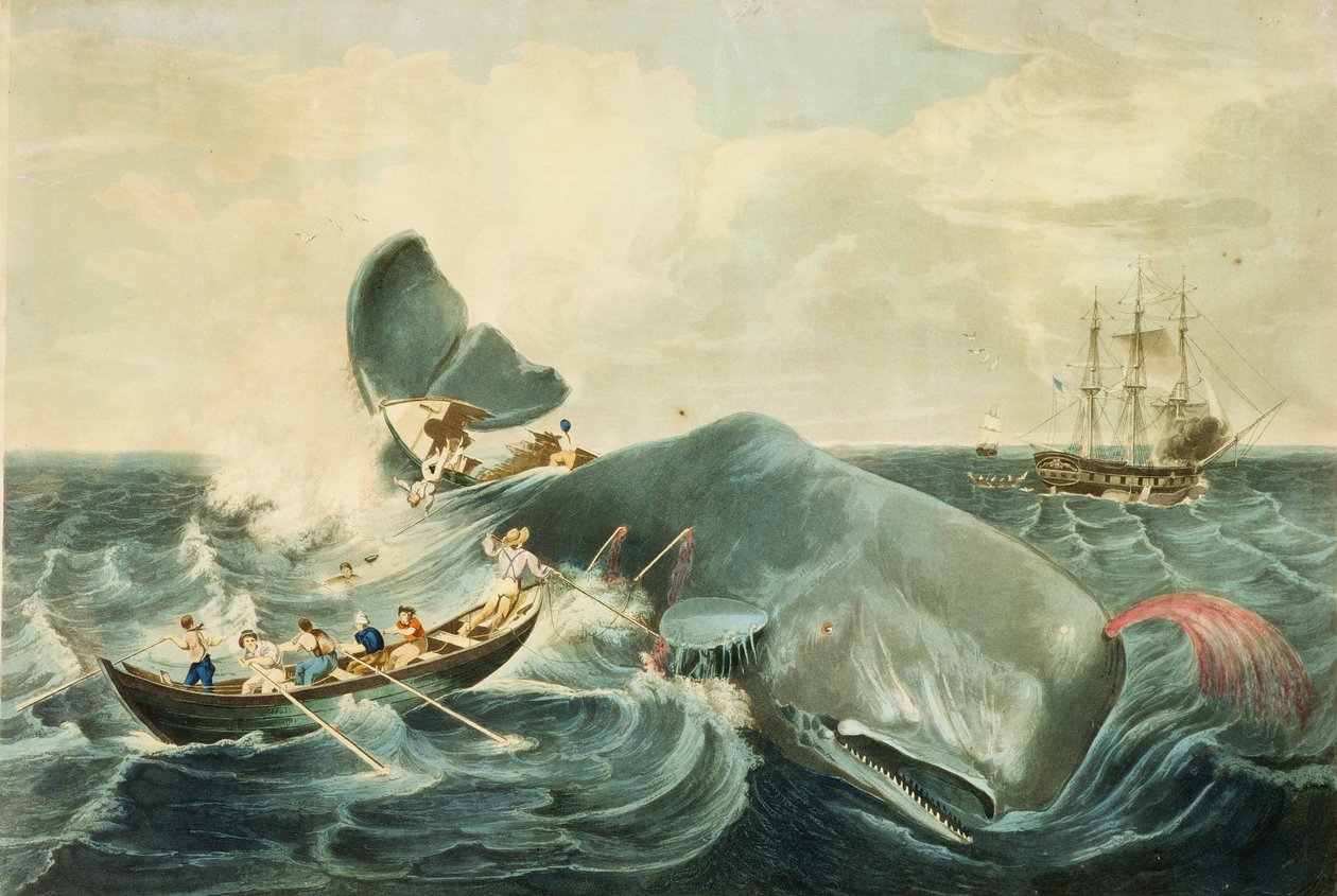 Capturing a Sperm Whale, engraved by J. Hill, published 1835 by William (after) Page