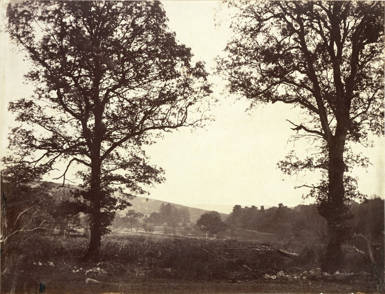Landscape with Elms, Ashdown, Great Britain by William 2nd Earl of Craven