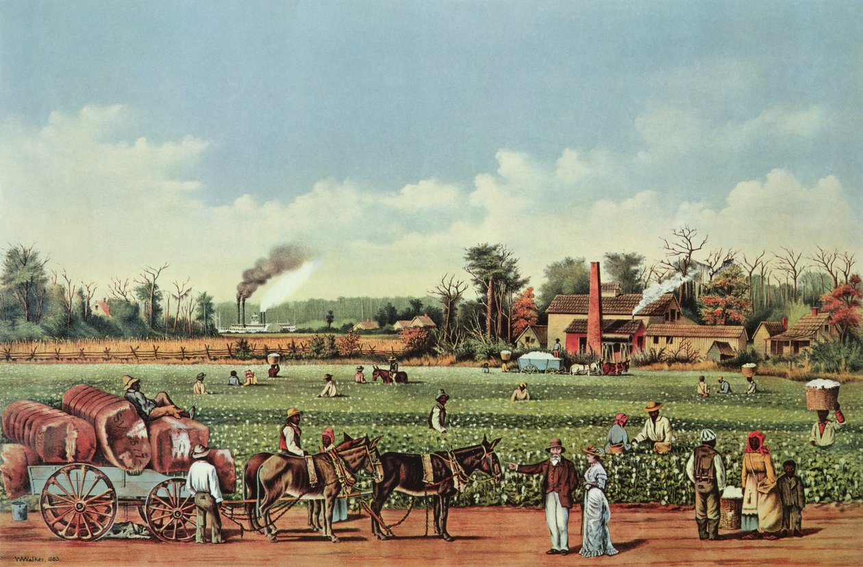 A Cotton Plantation on the Mississippi - The Harvest by William Aiken (after) Walker