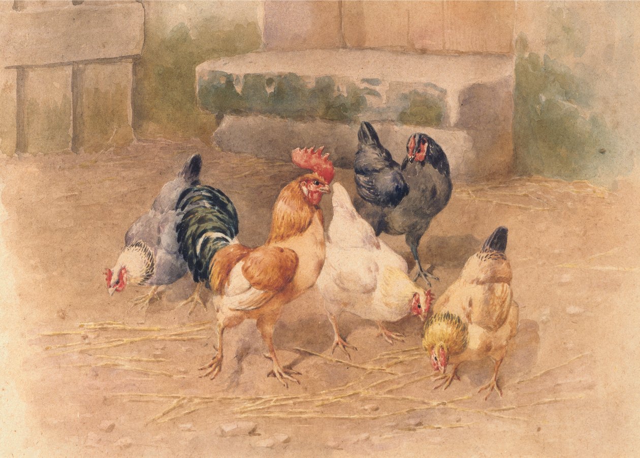 Chickens by William Baptiste Baird